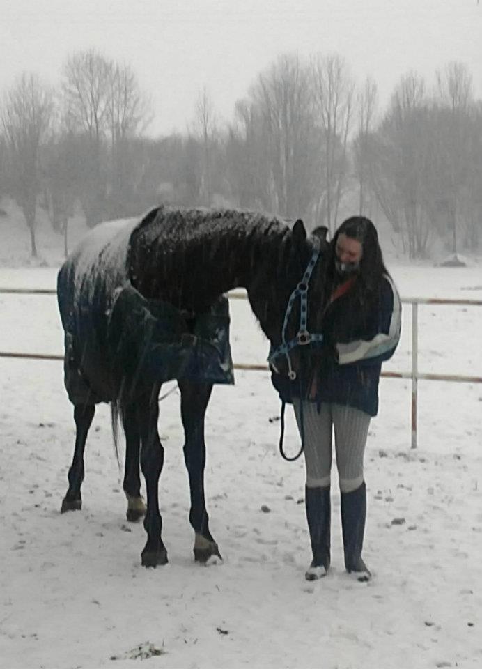 hundesitter w hannah 513017f9-0bf5-4c2f-ab32-ca4f5cfc42e7