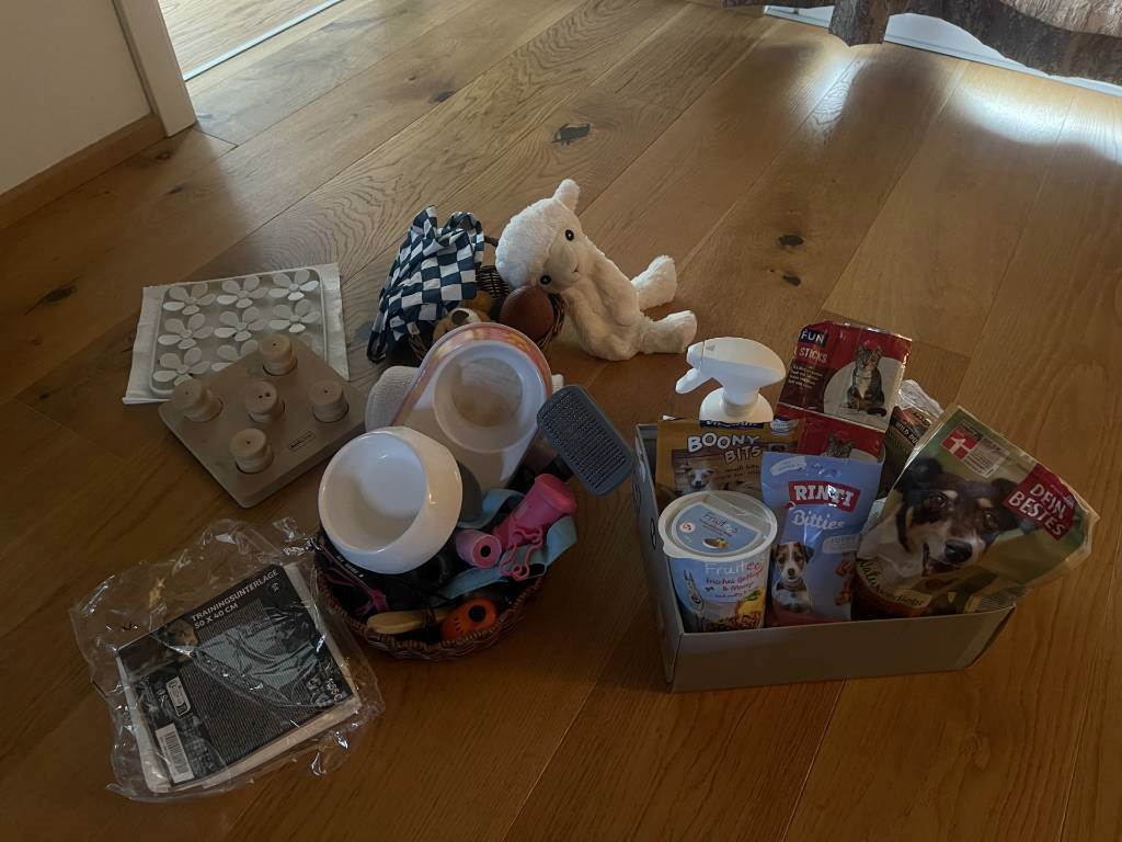 hundesitter no elisabeth  a163da42-b252-4a2f-9b01-1dcc1064e2b4