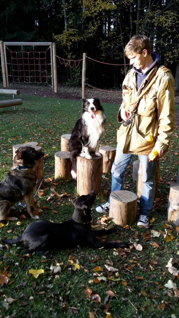 hundesitter s kristian e8f1b4d8-a218-493a-b72a-218a2b3213cb