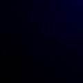 hundesitter w natalie 44fc7857-a747-48df-8a4d-b7b5d593ac46